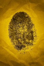 Fingerprints of God