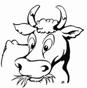 cow1006
