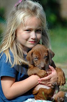 puppy220709