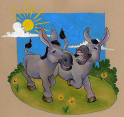 donkeys1310