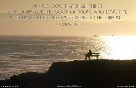 romans8 28