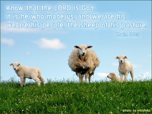 psalm100 3 copy
