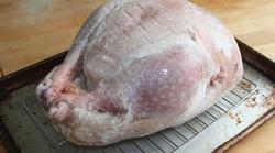 frozenTurkey