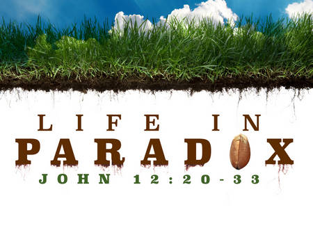 life-in-paradox